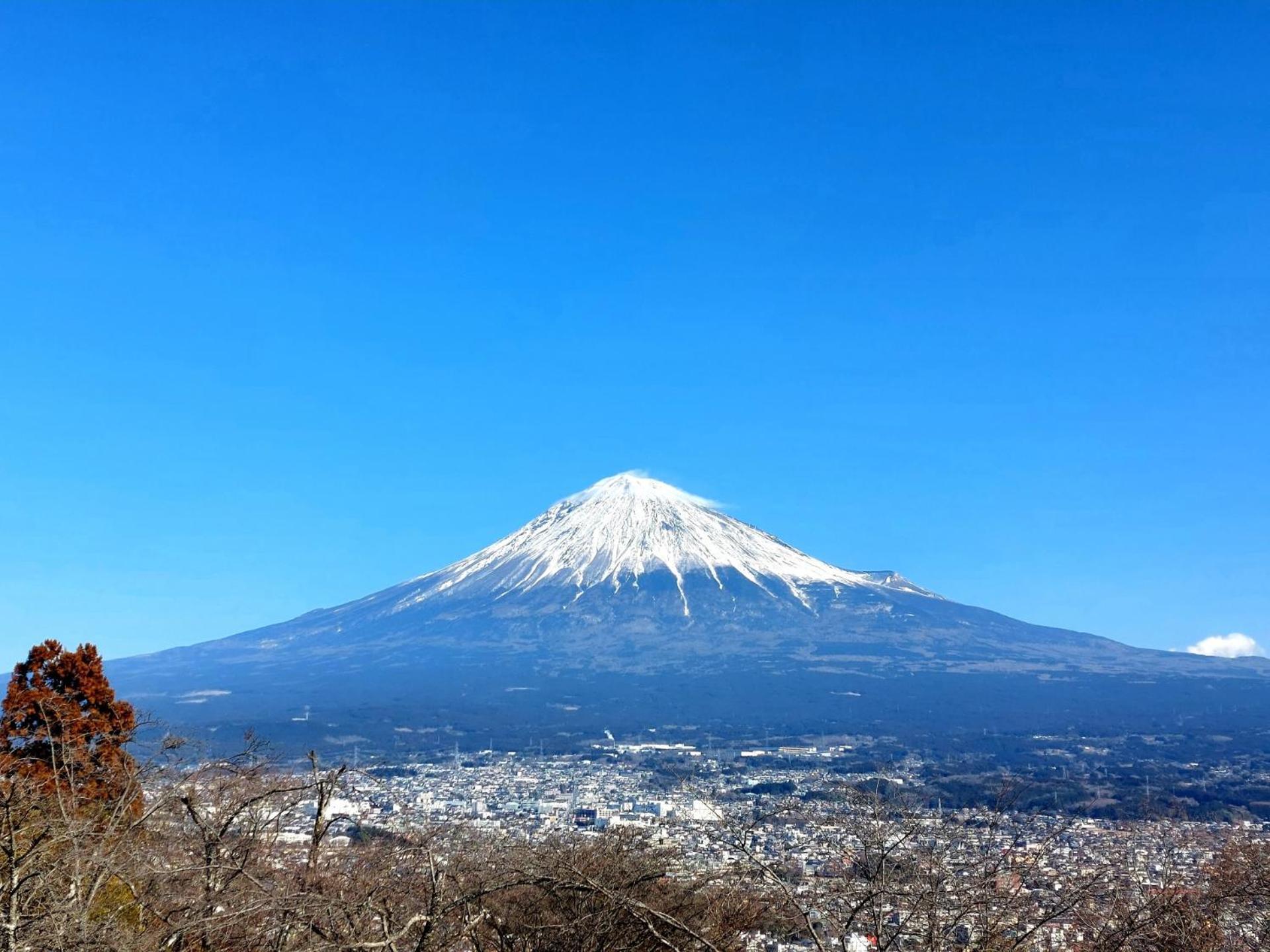 Tokiwa Hotel Kofu  Exteriér fotografie
